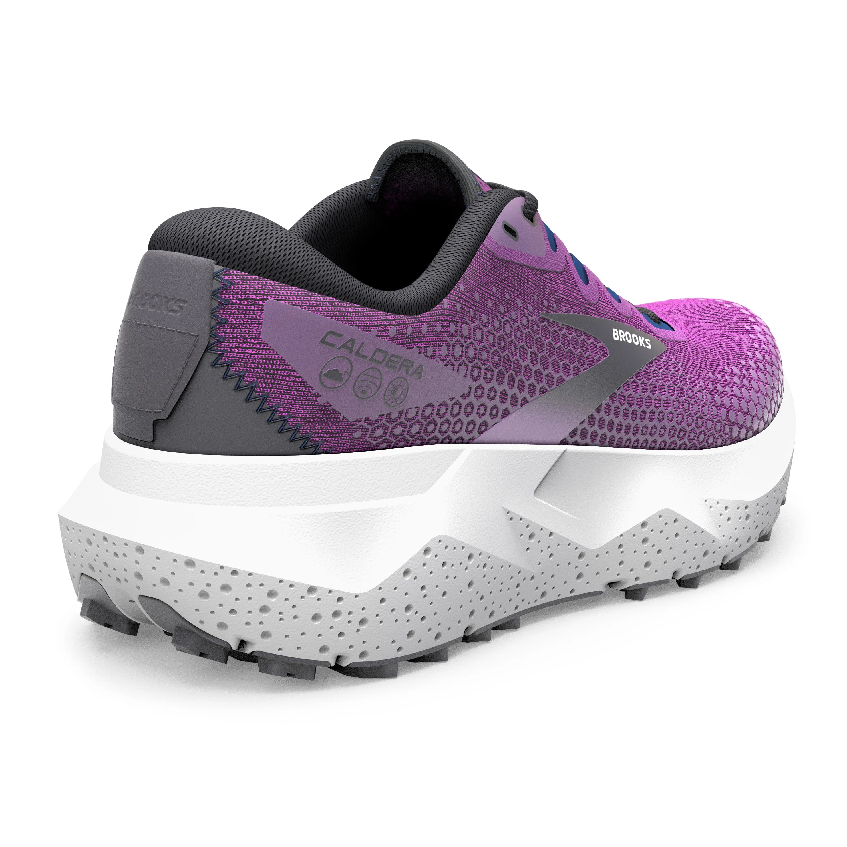 Caldera 6 \ Purple/Violet/Navy