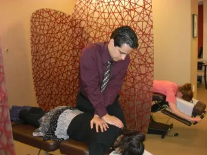 Chiropractor Service Business Plan