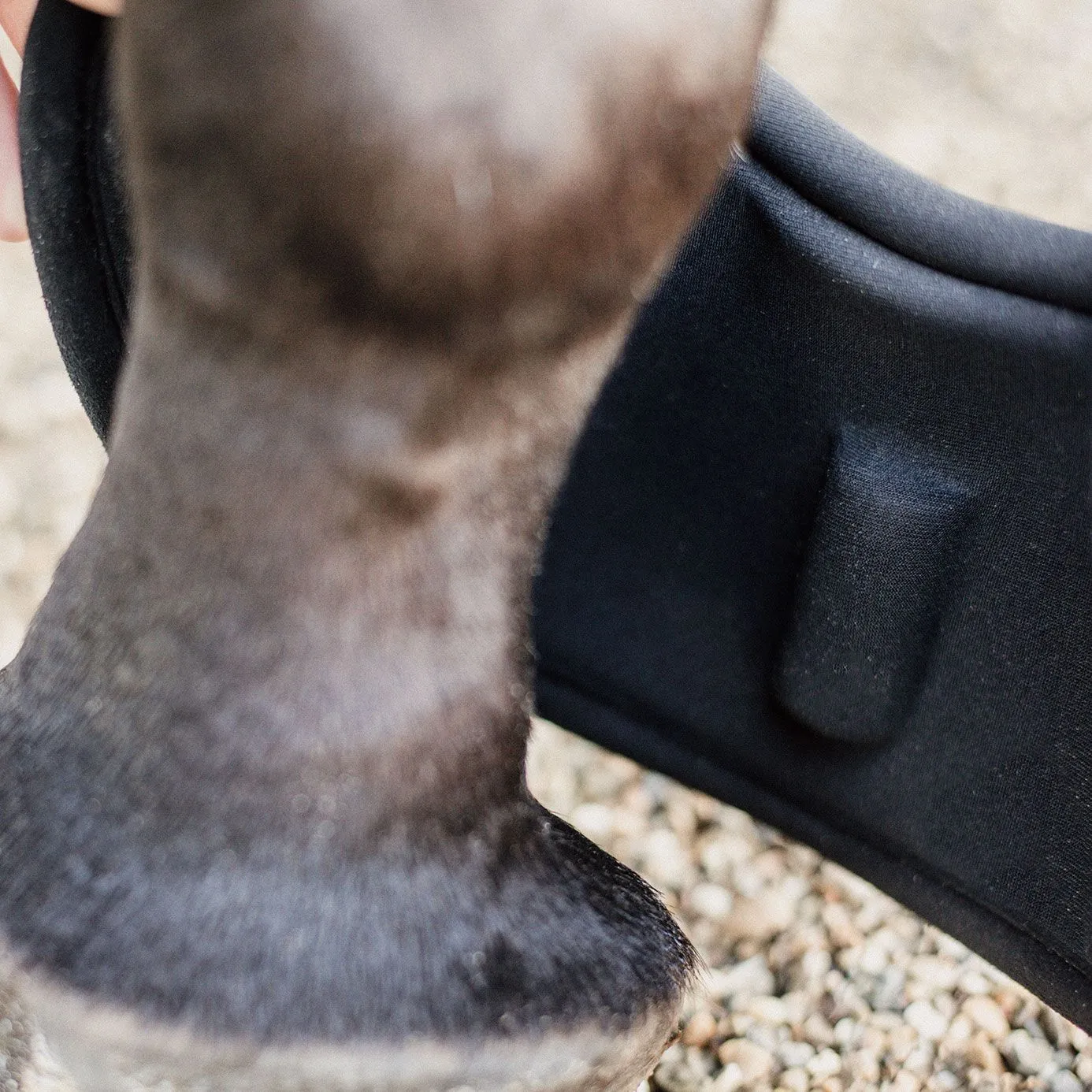 Kentucky Horsewear Heel Protection Overreach Boots