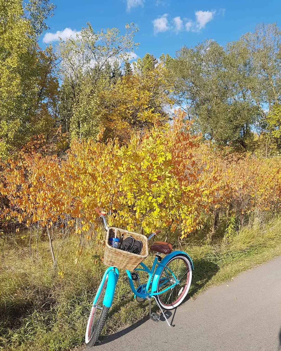 sixthreezero Scholar Woman Single Speed 26" Cruiser Bicycle