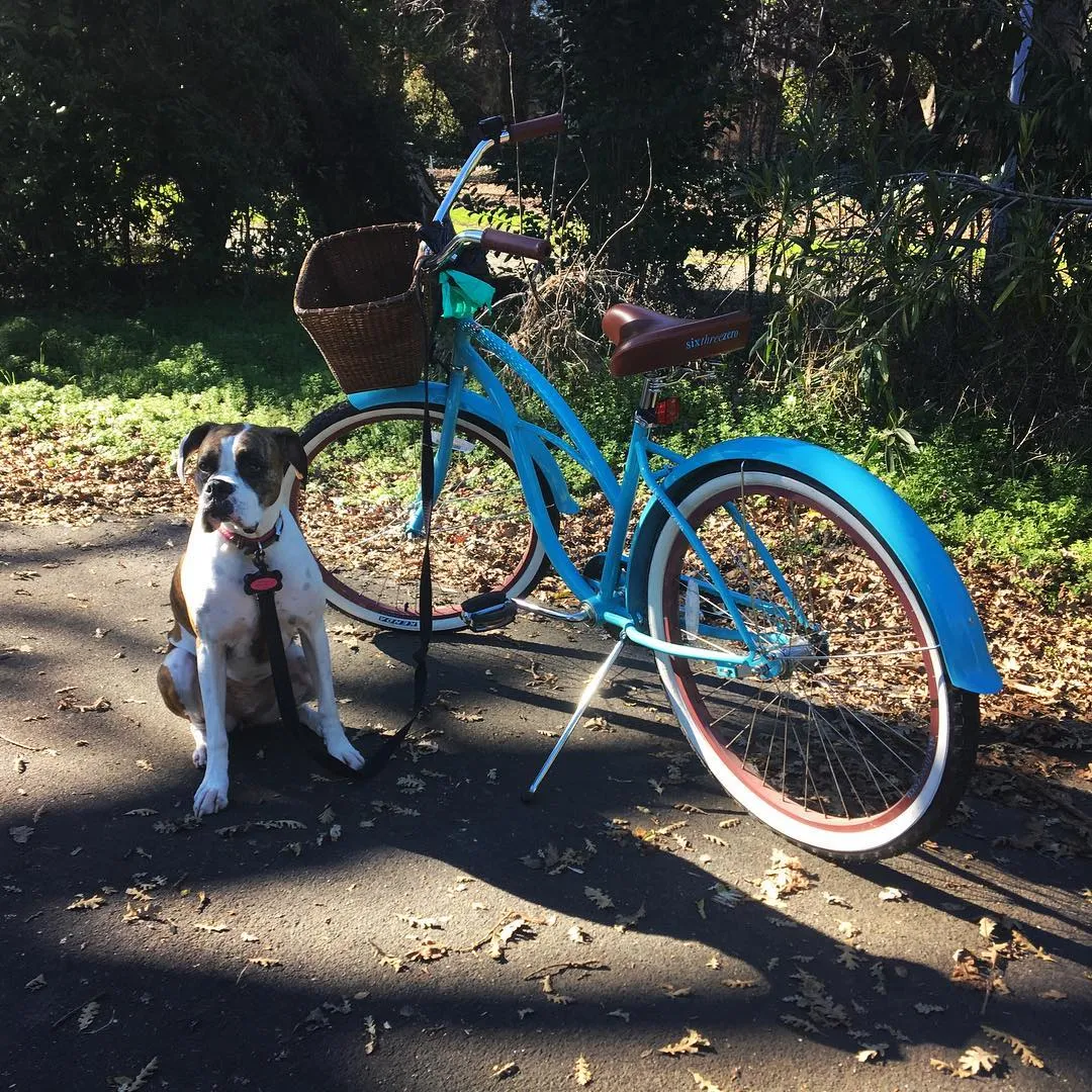 sixthreezero Teal Women's 26" 21 Speed Beach Cruiser Bicycle