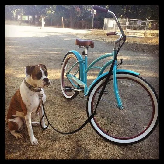 sixthreezero Teal Women's 26" 21 Speed Beach Cruiser Bicycle